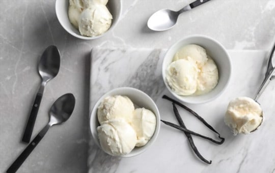 scoop of vanilla ice cream