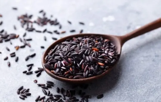 what to serve with wild rice best side dishes