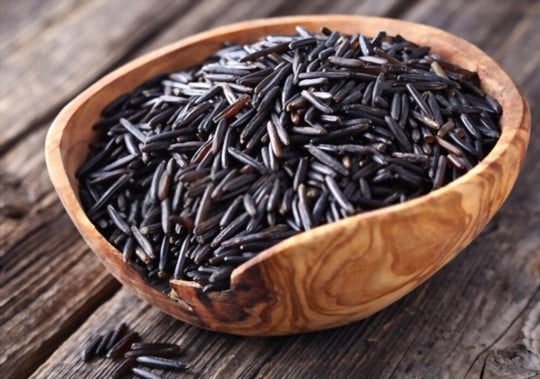 why consider serving side dishes for wild rice