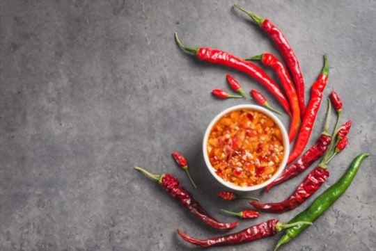 Best Substitutes For Chili Paste | EatDelights