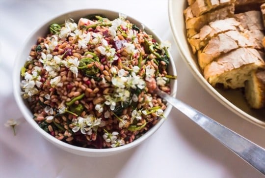 farro salad with chickpeas