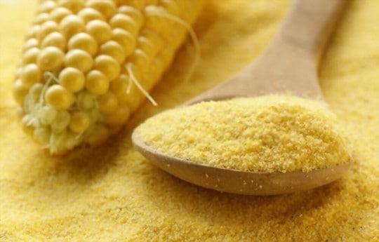 The 5 Best Substitutes for Corn Meal