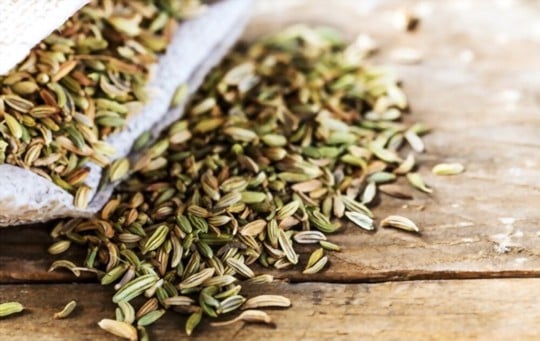 what are fennel seeds