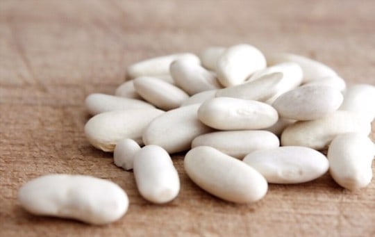 The 5 Best Substitutes For Great Northern Beans Eat Delights   What Are Great Northern Beans 