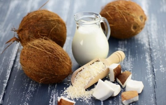 what is coconut milk