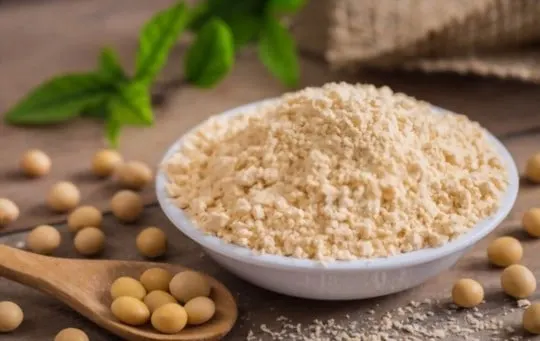 The 5 Best Substitutes for Soy Flour