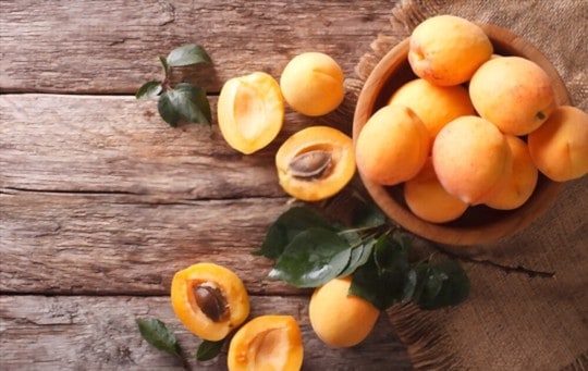 what do apricots taste like