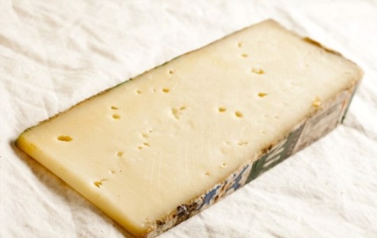 what is fontina cheese