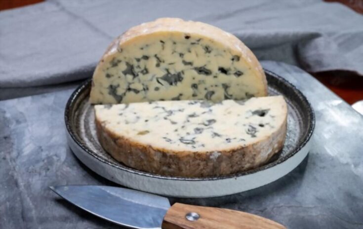What Does Blue Cheese Taste Like? Does Blue Cheese Taste Good?