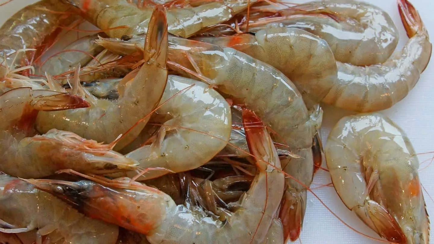 What Do Shrimps Taste Like? Do Shrimps Taste Good?