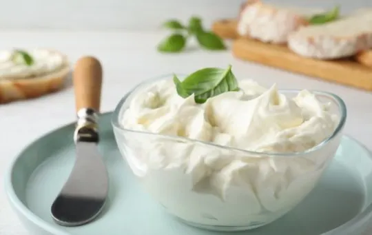 The 5 BEST Dairy-free Substitutes for Cream Cheese