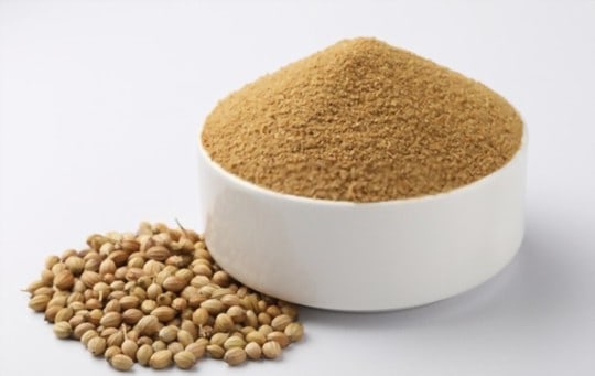 The 5 BEST Substitutes for Coriander Powder