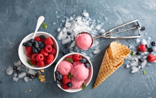 The 5 BEST Substitutes for Ice Cream
