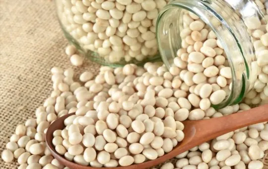 The 5 BEST Substitutes for Navy Beans