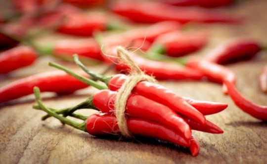 The 5 Best Substitutes for Red Chili Peppers in Recipes