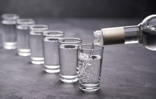 The 5 BEST Substitutes for Vodka