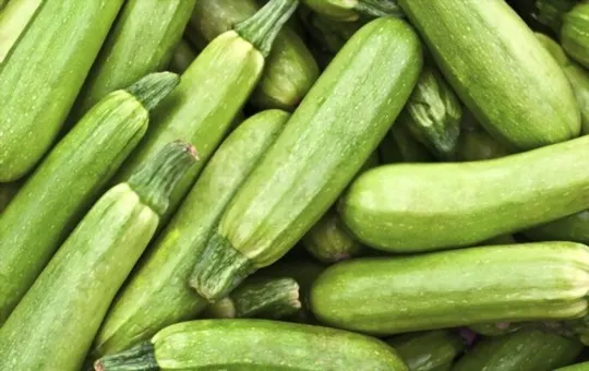 The 5 BEST Substitutes for Zucchini