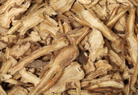 The 5 BEST Substitutes for Angelica Root