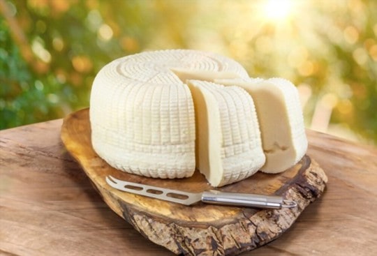 The 5 BEST Substitutes for Basket Cheese