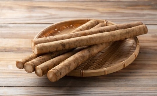 The 5 BEST Substitutes for Burdock Root