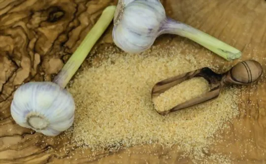 The 5 BEST Substitutes for Granulated Garlic