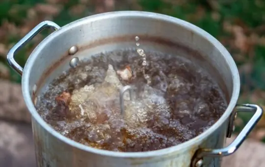 The 5 Best Substitutes for Peanut Oil for Deep-frying Turkey