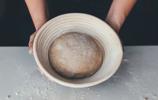 The 5 BEST Substitutes for Rice Flour in Banneton