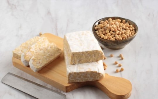 The 5 BEST Substitutes for Tempeh