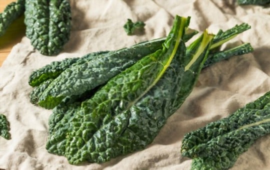 The 5 Best Substitutes for Tuscan Kale